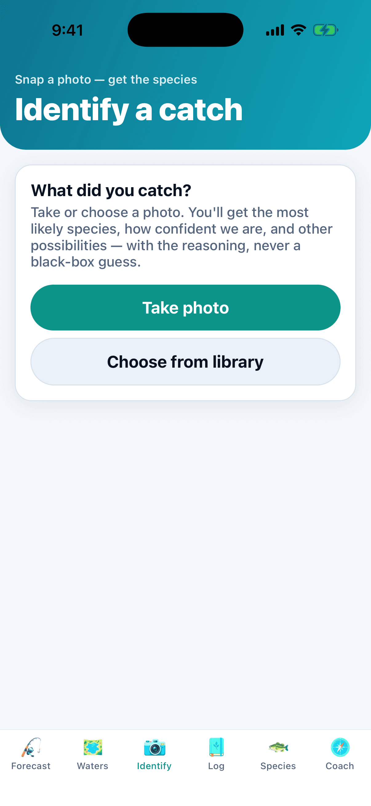 Identify a catch from a photo